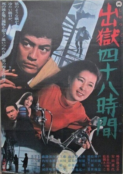 Póster de Forty-Eight Hours to Kill