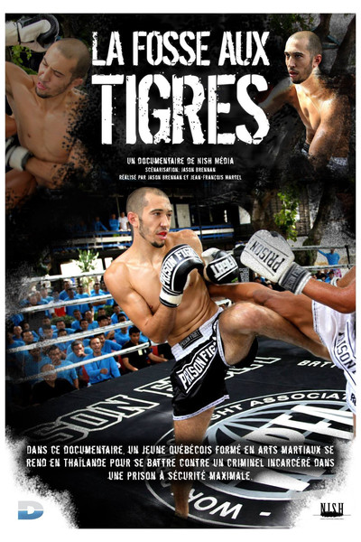 Póster de Fosse aux tigres