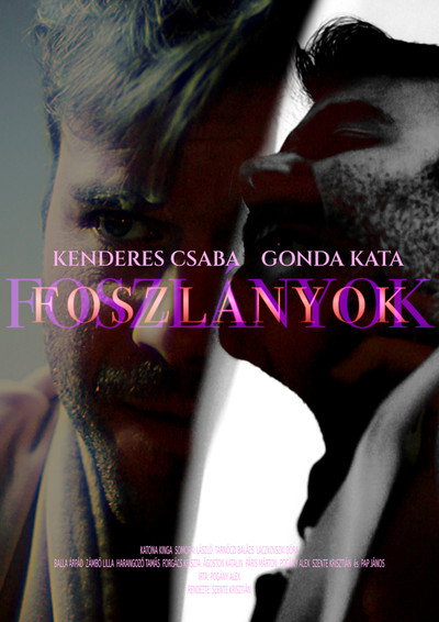 Póster de Foszlányok