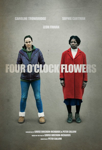 Póster de Four O'Clock Flowers