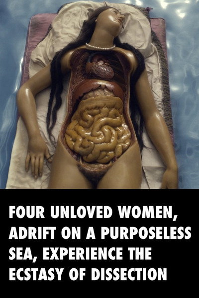 Póster de Four Unloved Women, Adrift on a Purposeless Sea, Experience the Ecstasy of Dissection