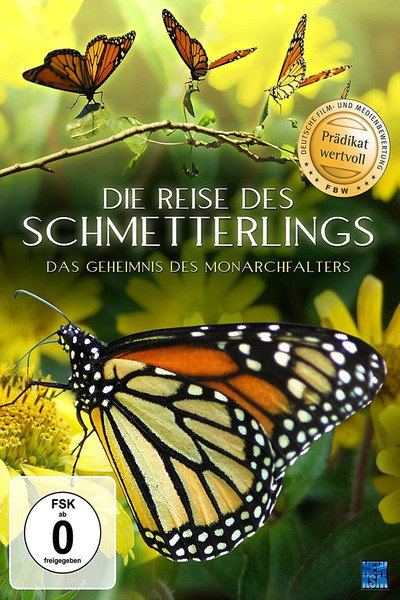 Póster de Four Wings and a Prayer