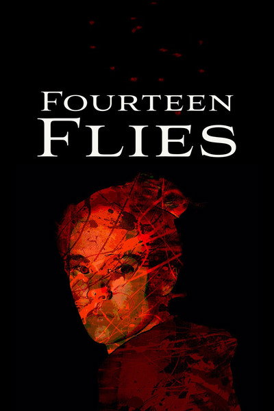 Póster de Fourteen Flies