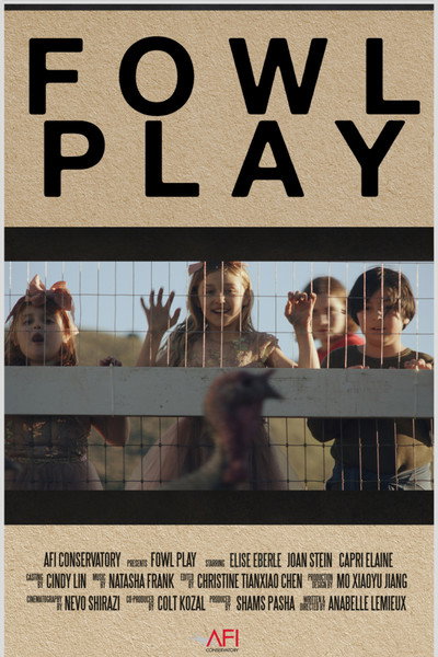 Póster de Fowl Play