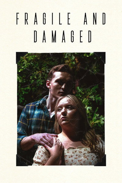 Póster de Fragile and Damaged