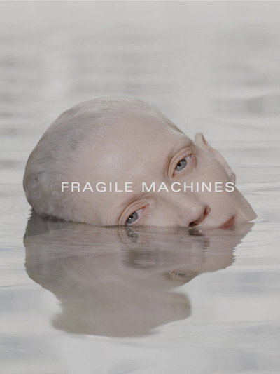 Póster de Fragile Machines