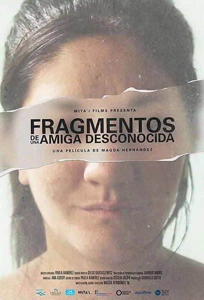 Póster de Fragmentos de una amiga desconocida