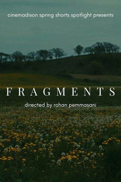 Póster de Fragments