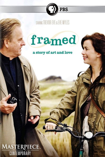 Póster de Framed