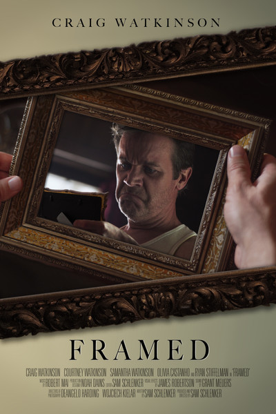 Póster de Framed