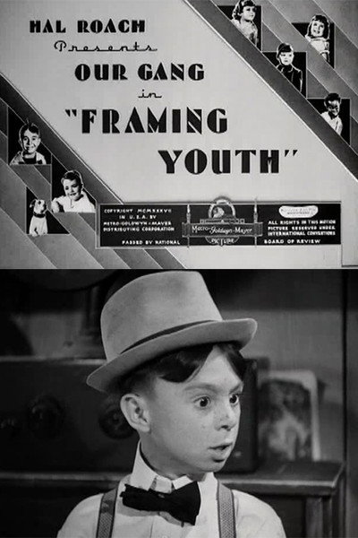 Póster de Framing Youth