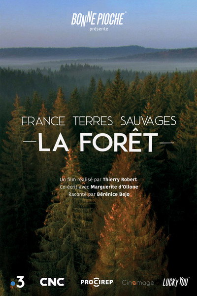 Póster de France terres sauvages - La forêt