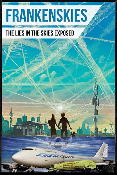 Póster de FrankenSkies