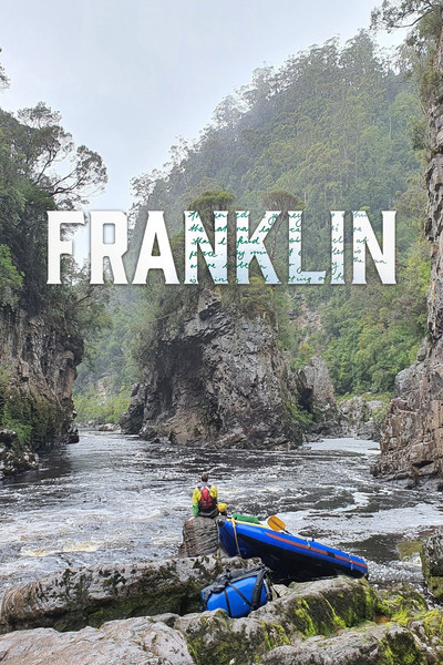 Póster de Franklin