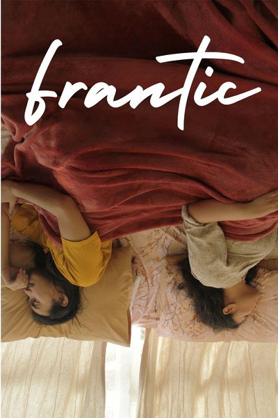 Póster de Frantic
