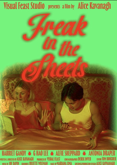 Póster de Freak in the Sheets