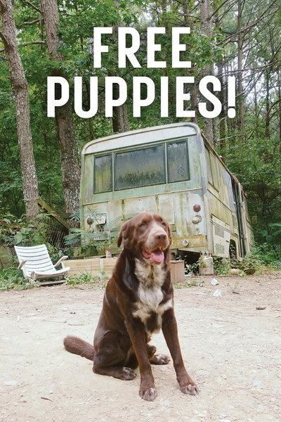 Póster de Free Puppies!