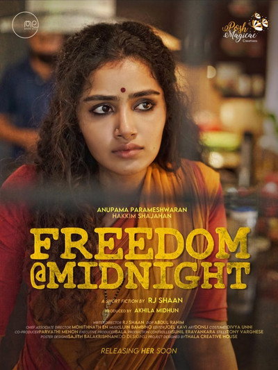 Póster de Freedom @ Midnight