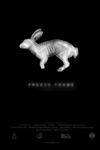 Póster de Freeze Frame