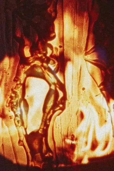 Póster de Friendly Fire