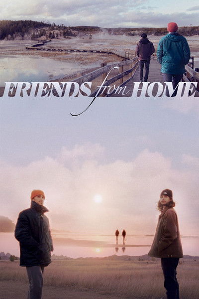 Póster de Friends from Home