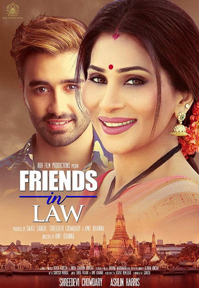 Póster de Friends in Law