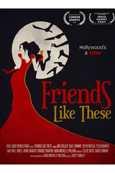Póster de Friends Like These