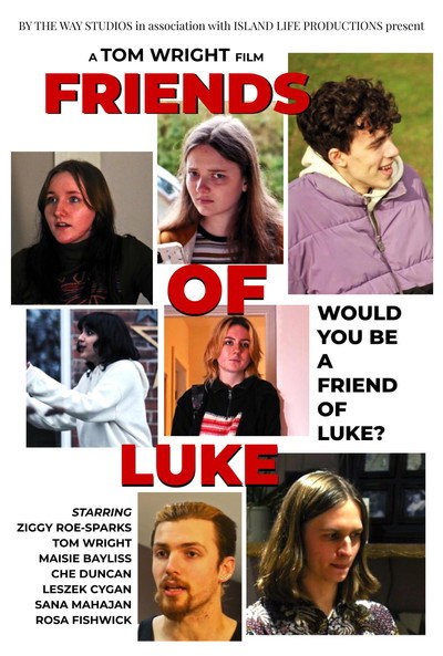 Póster de Friends of Luke