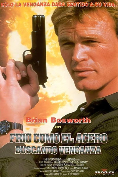 Póster de Frío como el acero II. Buscando venganza