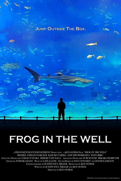 Póster de Frog in the Well