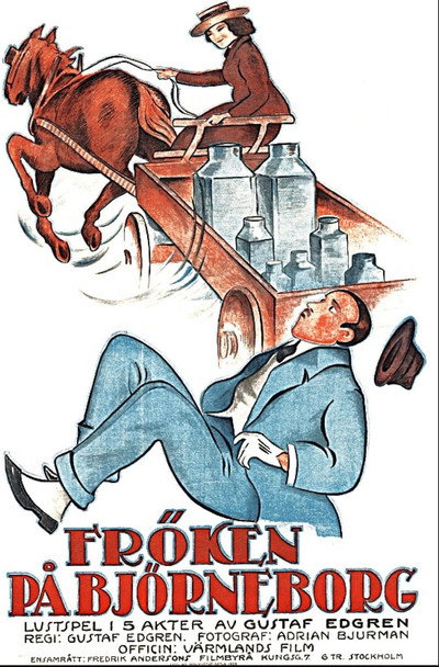 Póster de Fröken på Björneborg