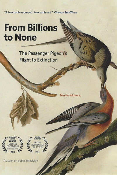 Póster de From Billions to None: The Passenger Pigeon's Flight to Extinction