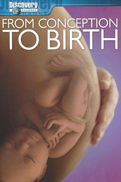 Póster de From Conception to Birth