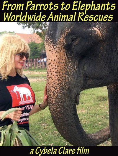 Póster de From Parrots to Elephants: Worldwide Animal Rescues