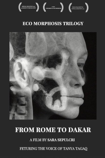 Póster de From Rome to Dakar