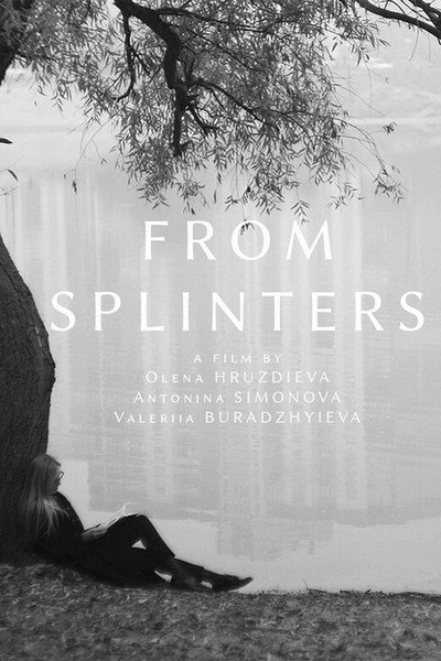 Póster de From Splinters