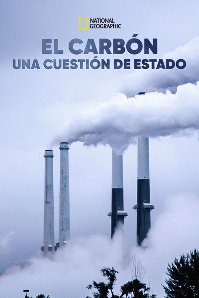 Póster de From the Ashes