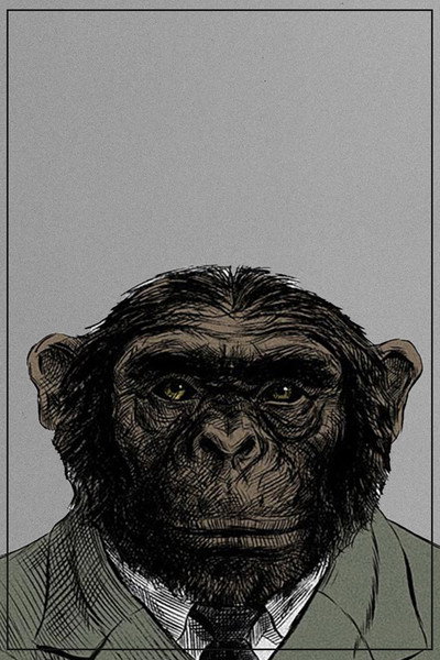 Póster de From the Big Bang to Tuesday Morning
