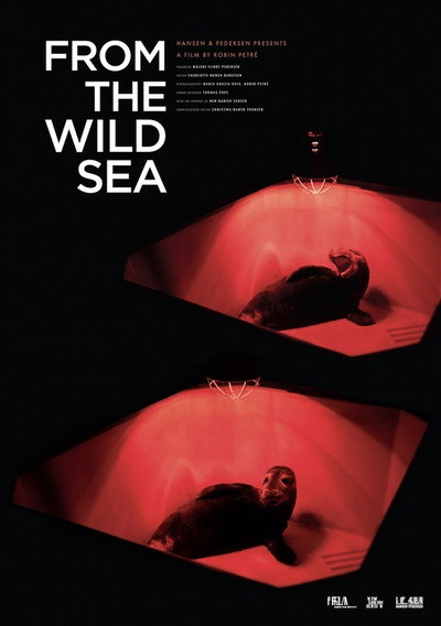 Póster de From the Wild Sea
