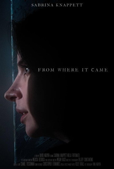 Póster de From Where It Came