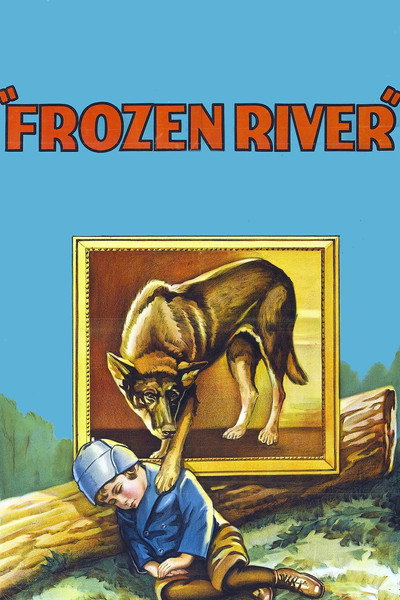 Póster de Frozen River