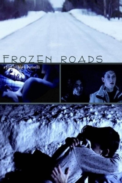 Póster de Frozen Roads