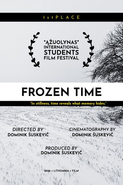 Póster de Frozen Time: What If