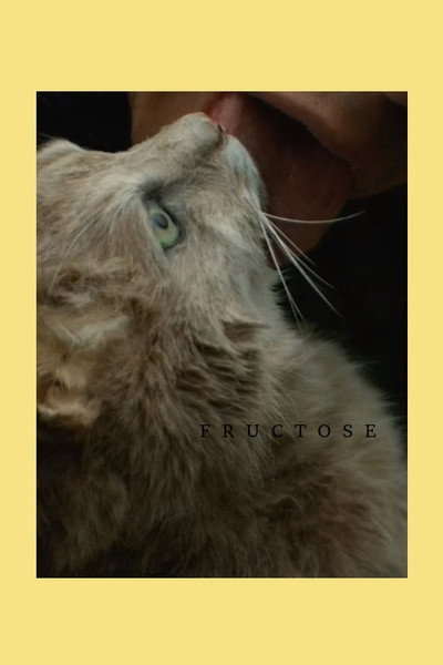 Póster de Fructose