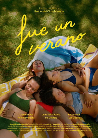 Póster de Fue un Verano