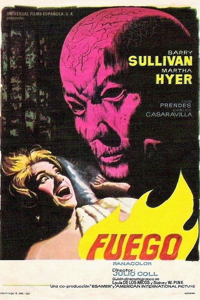 Póster de Fuego