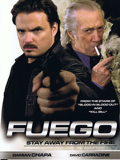 Póster de Fuego
