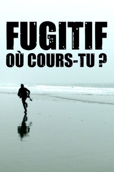 Póster de Fugitif, où cours-tu?