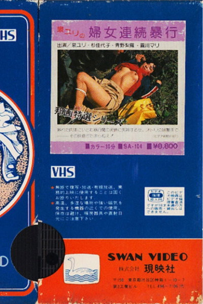 Póster de Fujo renzoku bôkô