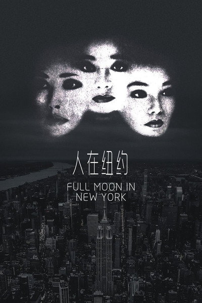 Póster de Full Moon in New York